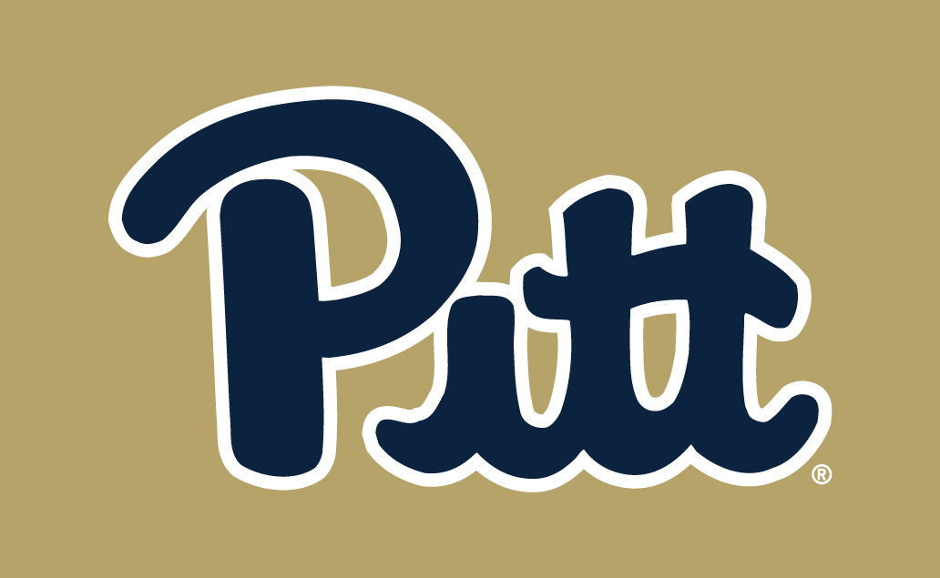 Pittsburgh Panthers 2016-2018 Alternate Logo v3 diy DTF decal sticker